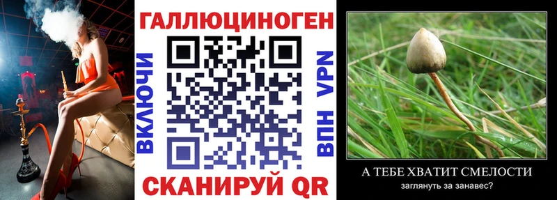 Галлюциногенные грибы Magic Shrooms  MEGA онион  Темников  наркошоп 
